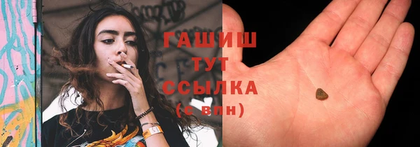 ГАЛЛЮЦИНОГЕННЫЕ ГРИБЫ Аркадак