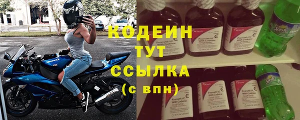 ГАЛЛЮЦИНОГЕННЫЕ ГРИБЫ Аркадак