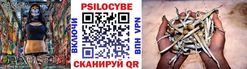 Псилоцибиновые грибы ЛСД магазин продажи Бирюсинск